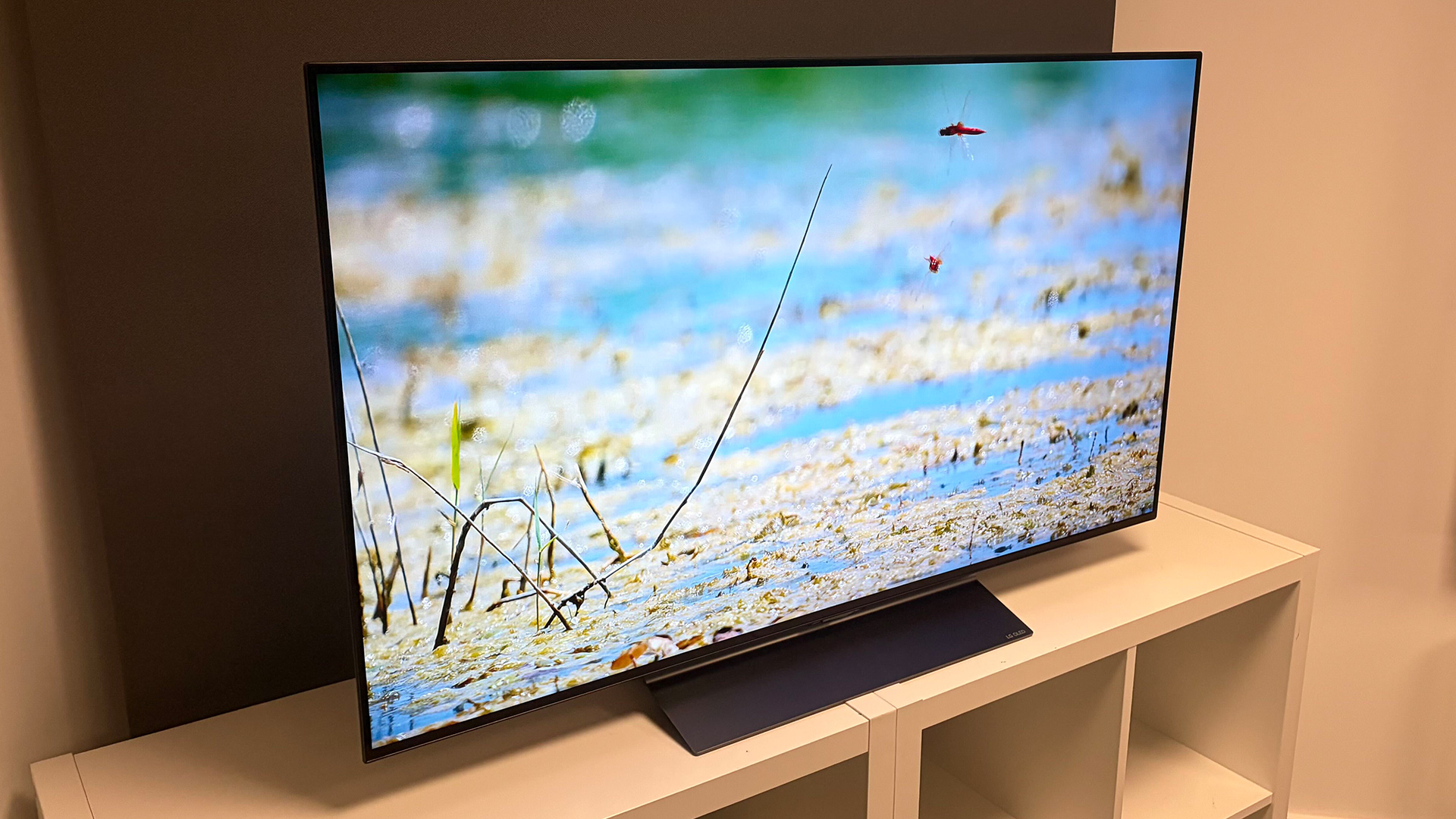 LG C6 48-inch OLED TV