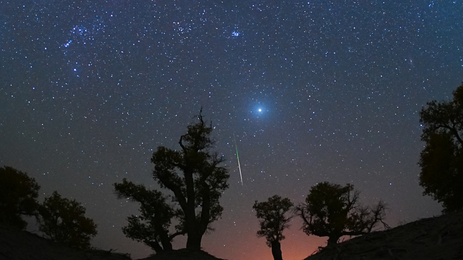 照片中一顆流星在樹木剪影上方的星空中移動。