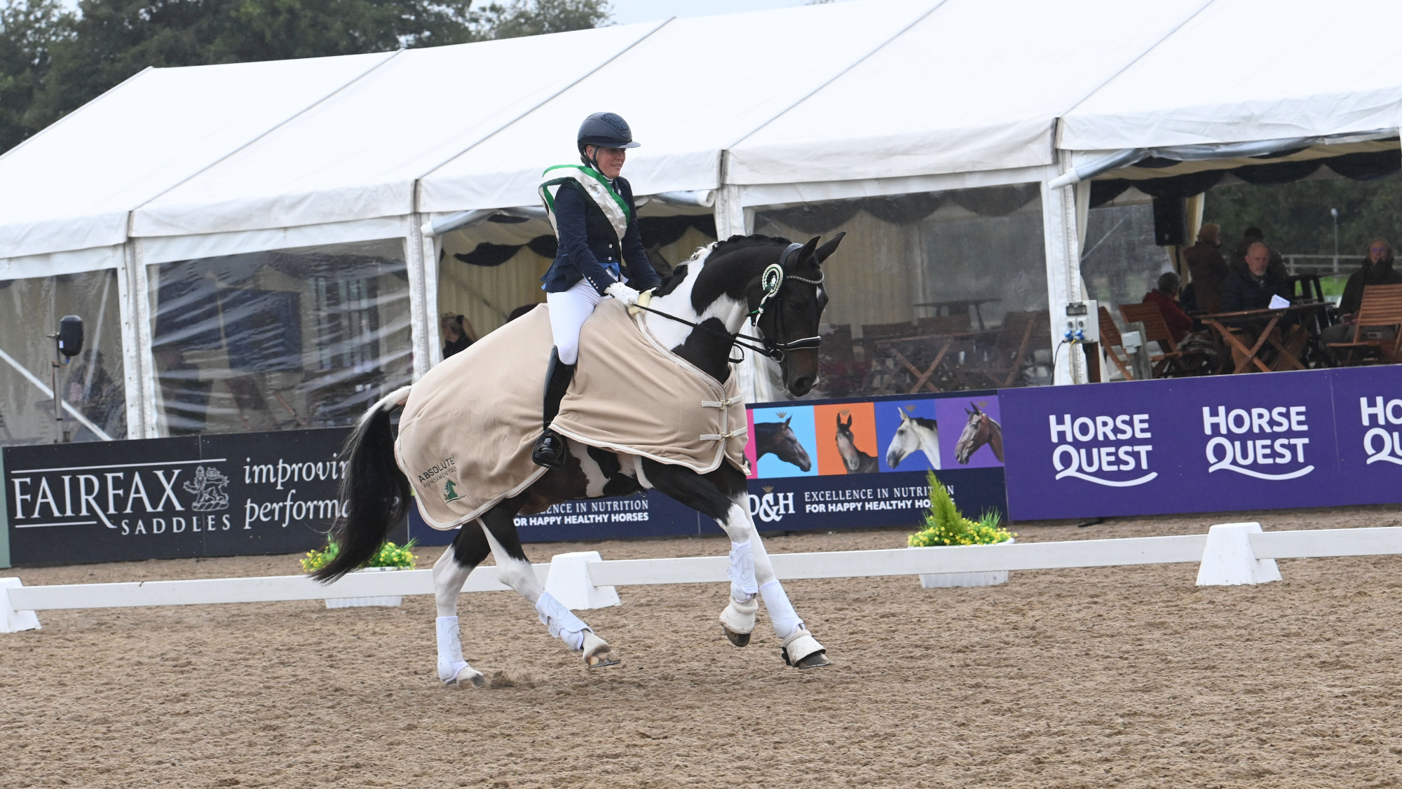 Mary Pearson in a winner&amp;rsquo;s sash rides her coloured mare Bella Vista in a prizegiving at the 2026 National Dressage Championships.
