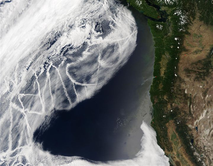 Ship tracks off the western U.S.