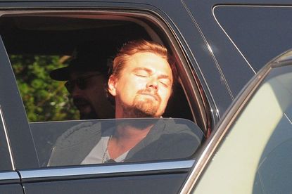 Leonardo DiCaprio, 2013