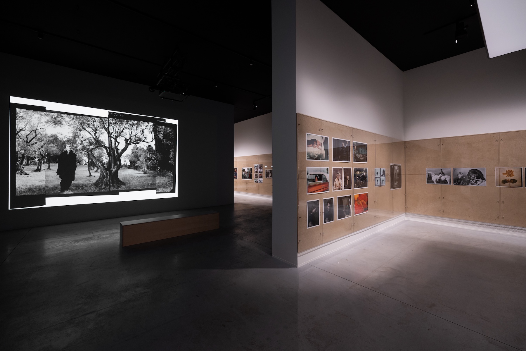 Annie Liebovitz Exhibition Wonderland A Coruna at the MOP Foundation