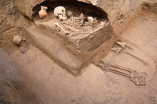 The skeleton of an adult female who is facing toward the northwest was discovered among the prehistoric tombs in China. Much of her skeleton below the abdomen is destroyed.