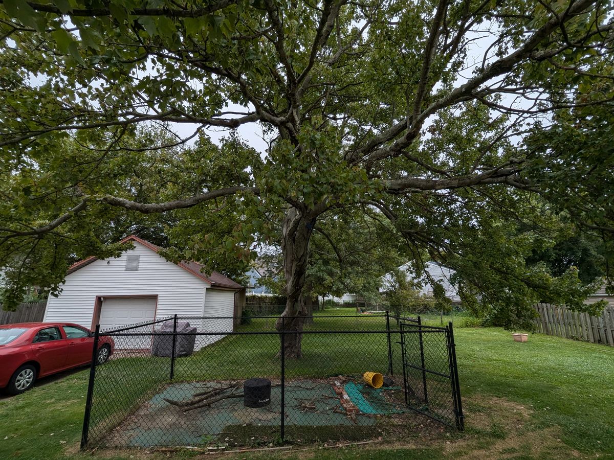 Google Pixel Fold camera sample.