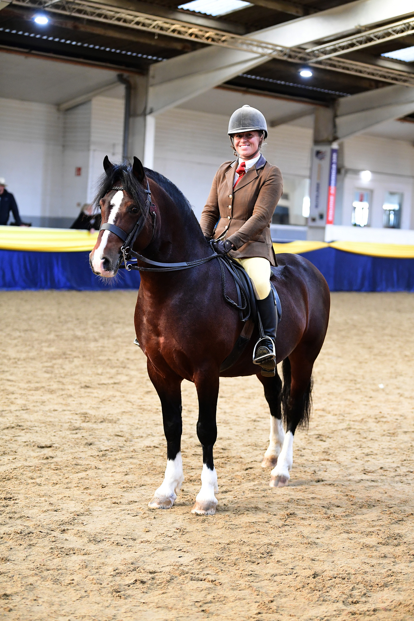 Heritage Show 15.10.2379043