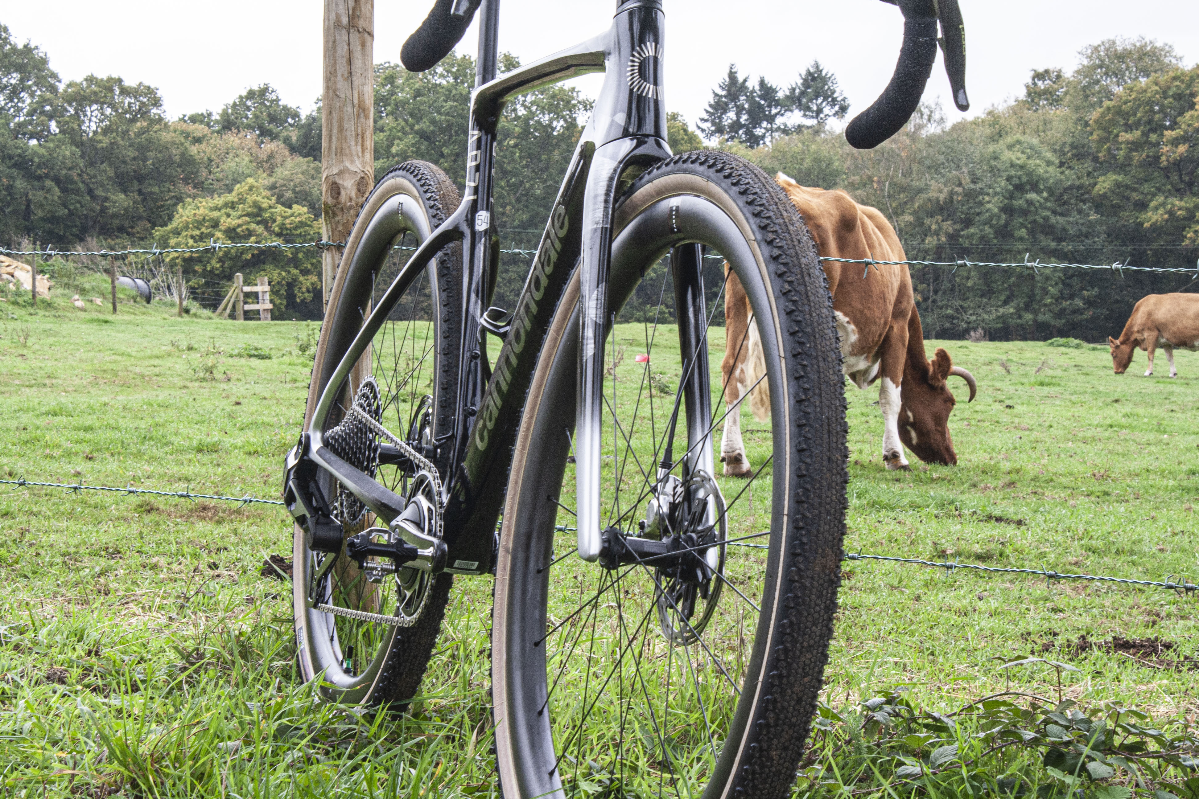 Cannondale SuperX Lab7 with cows in the background
