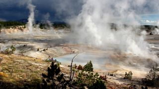 Landscape at Norris Geyser Basin, Yellowstone National Park, Wyoming, USA