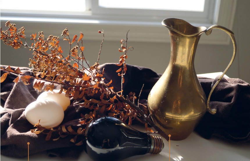 Damien Mammoliti's painting still life tutorial, photo of set up