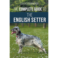The Complete Guide To The English Setter | Amazon