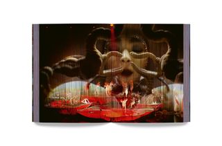 Björk tour book images