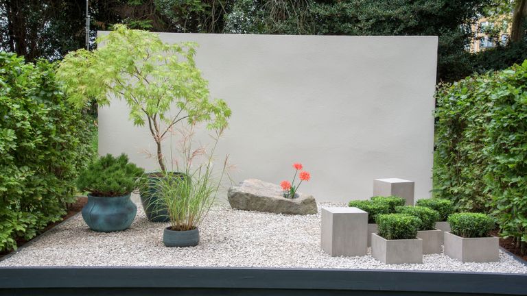 minimalist container garden