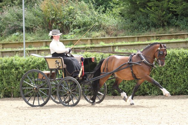 Mr-J-winning-the-Concours-This-photo-courtesy-of-Emma-Gann-Photography-e1470223912638.jpg