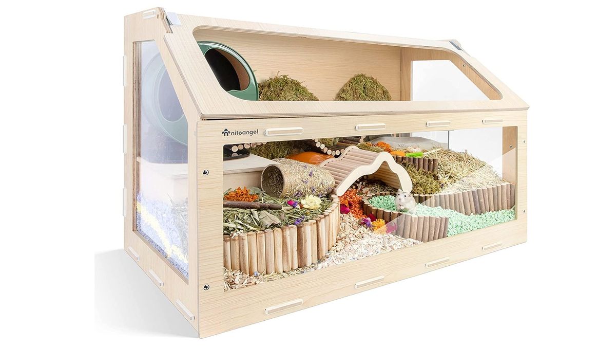 Curated visual reference: Fresh Look at Best Hamster Cages 2024 For A Cozy And Comfortable Home