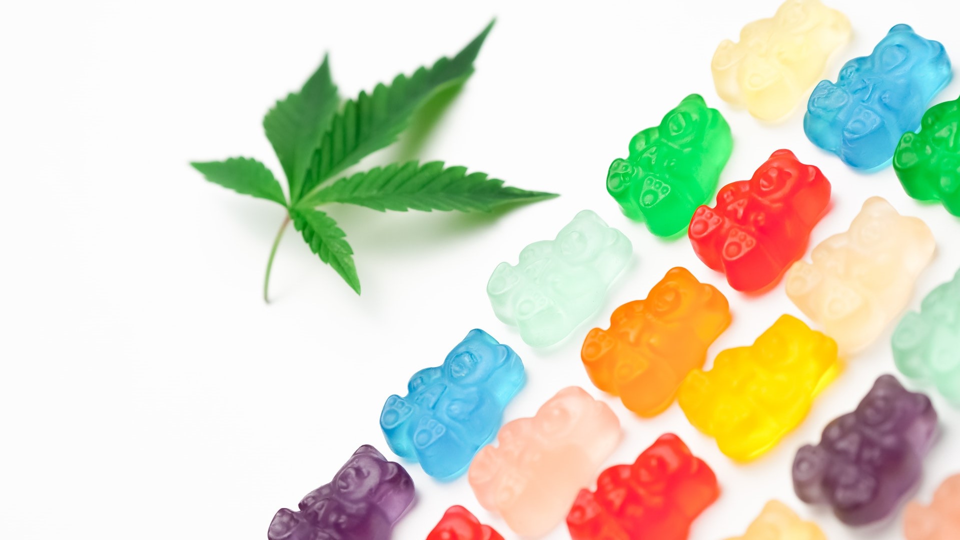 Assorted Colored Gummy Bears on White Background with Cannabis Leaf