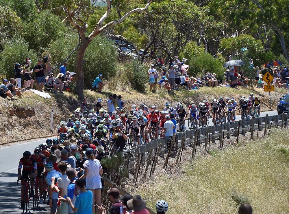 Spectators watch the action during stage 5 at the Tour Down Under