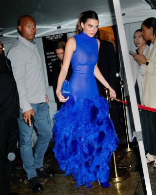 Kendall Jenner in a sheer blue dress