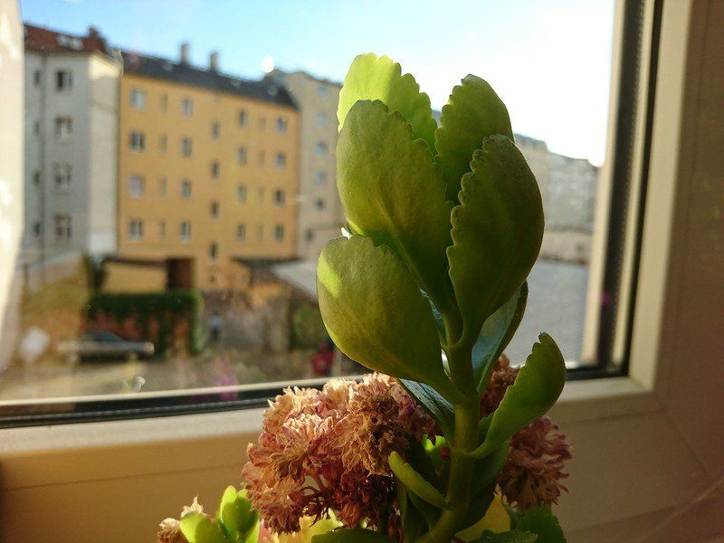 Sample photo