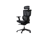 Flexispot C7 Air office chair