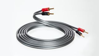 QED Reference XT40i cable on a white background