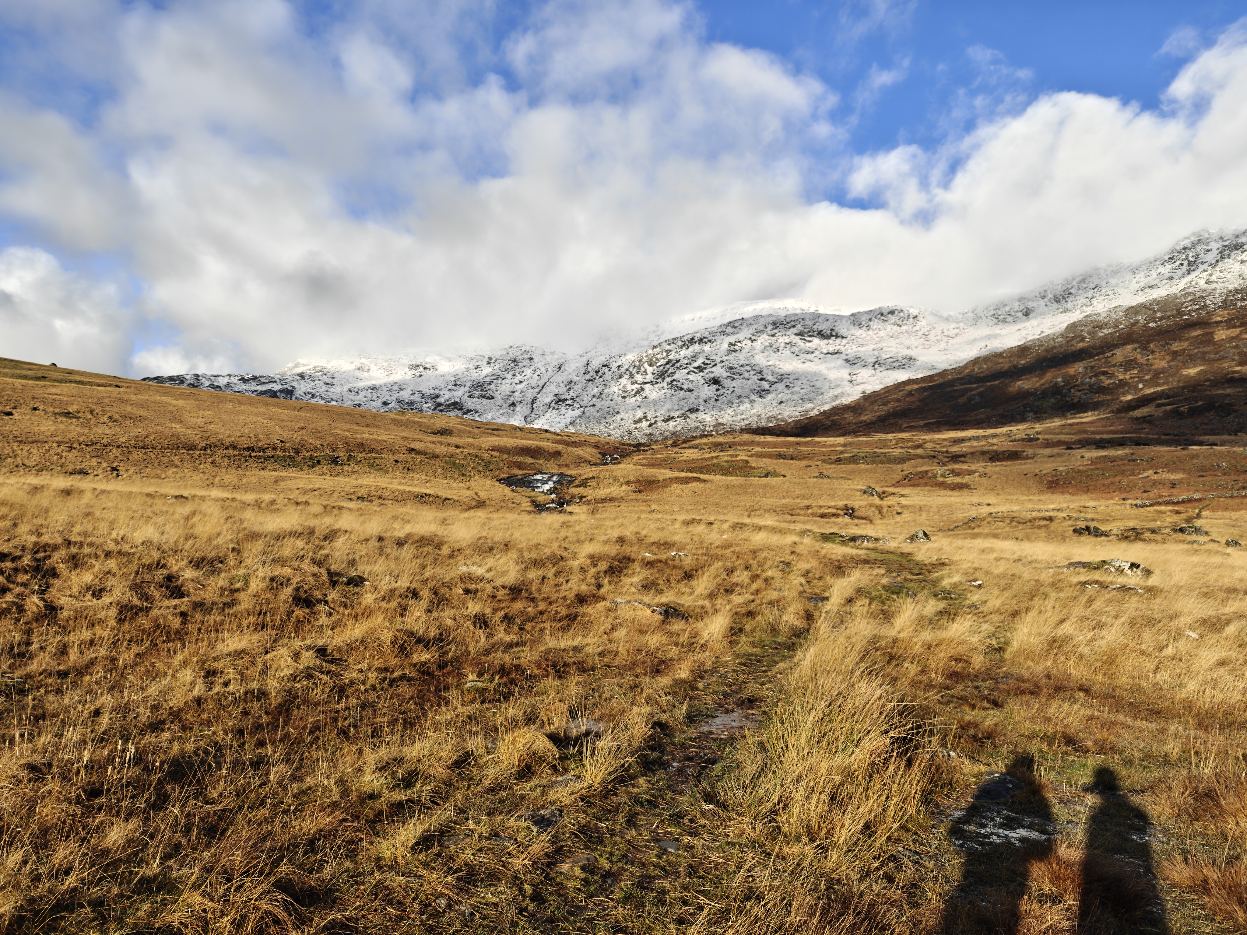 A camera sample captured on the Nothing Phone 3.