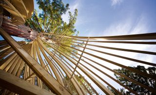 Yellow Treehouse Restaurant, Auckland