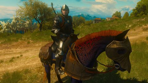 witcher 3 horse armor mod