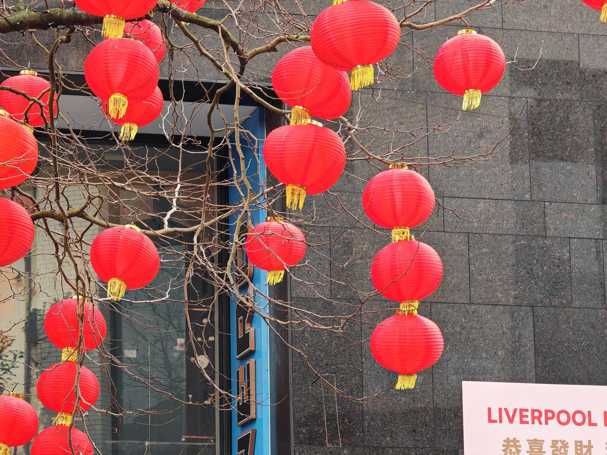 Honor Magic6 Pro Camera Samples (Tree with Chinese lanterns at 5x zoom, daytime, Liverpool, United Kingdom )