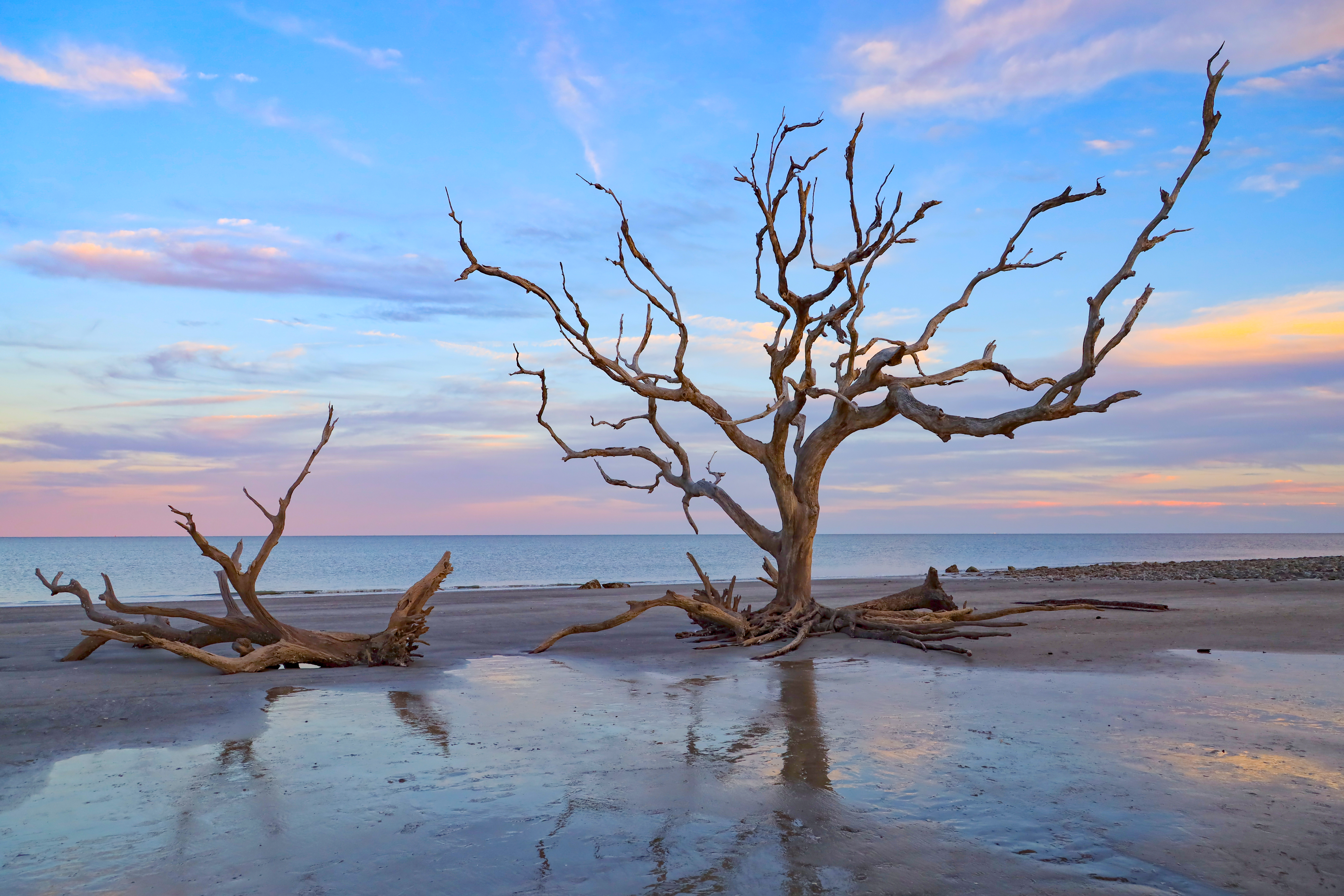 Driftwood Beach on Jekyll Island at sunrise