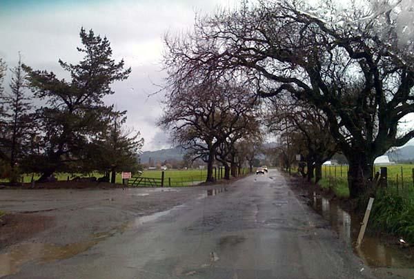 California means rainy road rides in March.