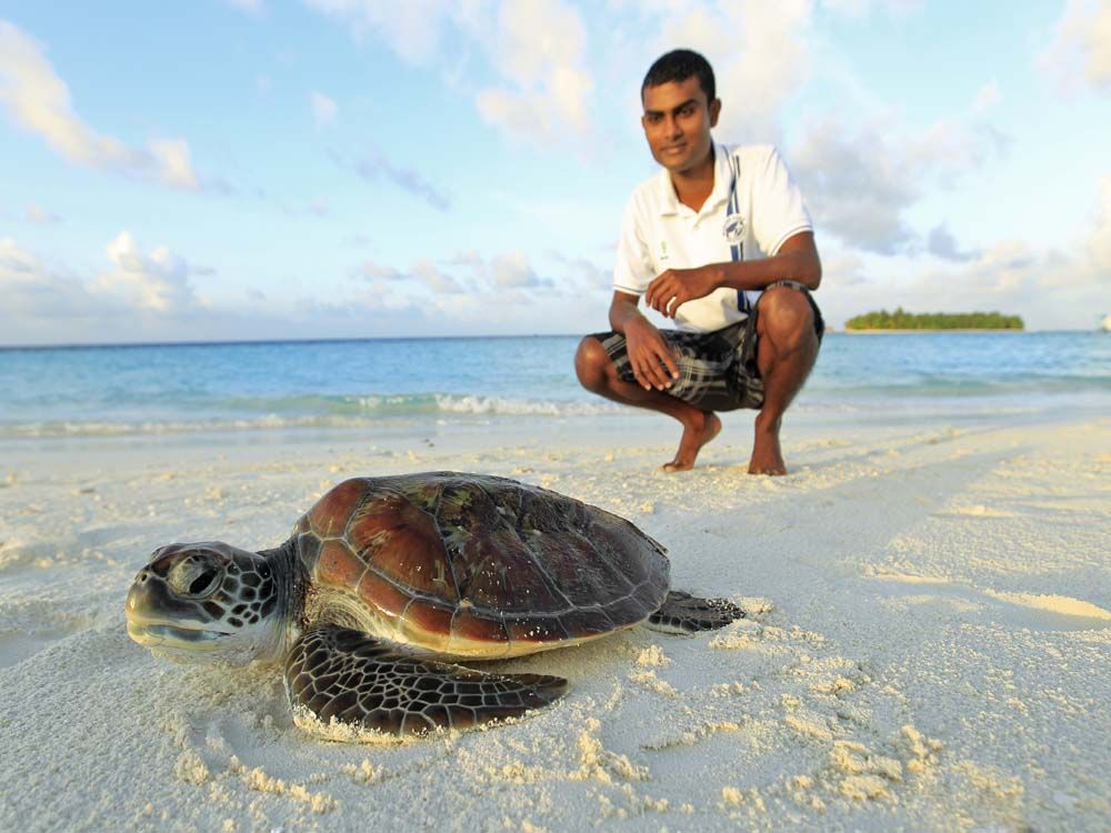 MALDIVES