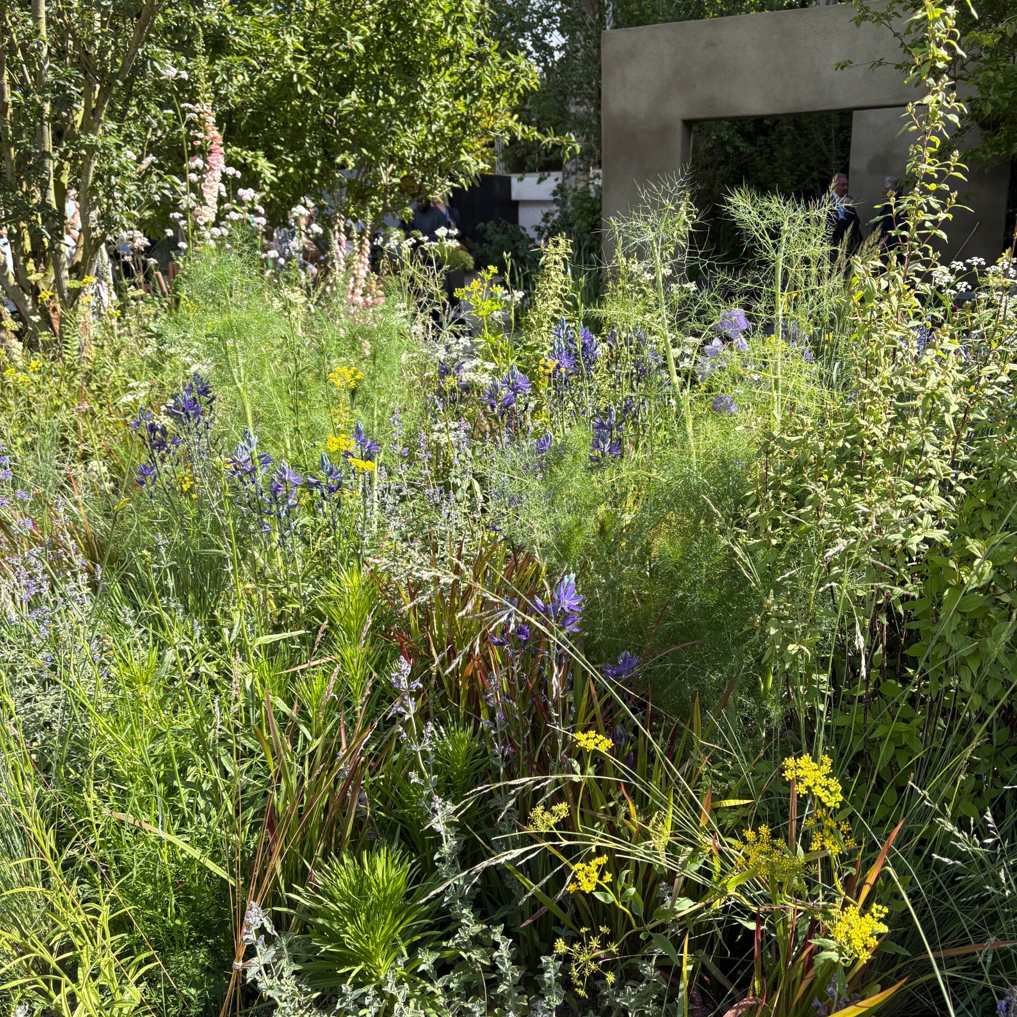 RHS Chelsea Flower Show 2026