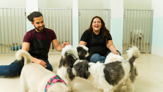 Two people sat on the floor with dogs at a pet boarding facility