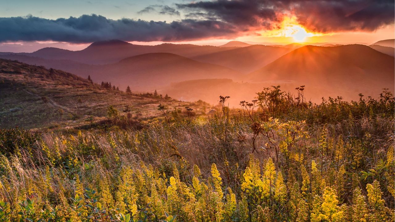 MoneyWireDaily — 5 Fall Trips That Are Even Better After You Retire