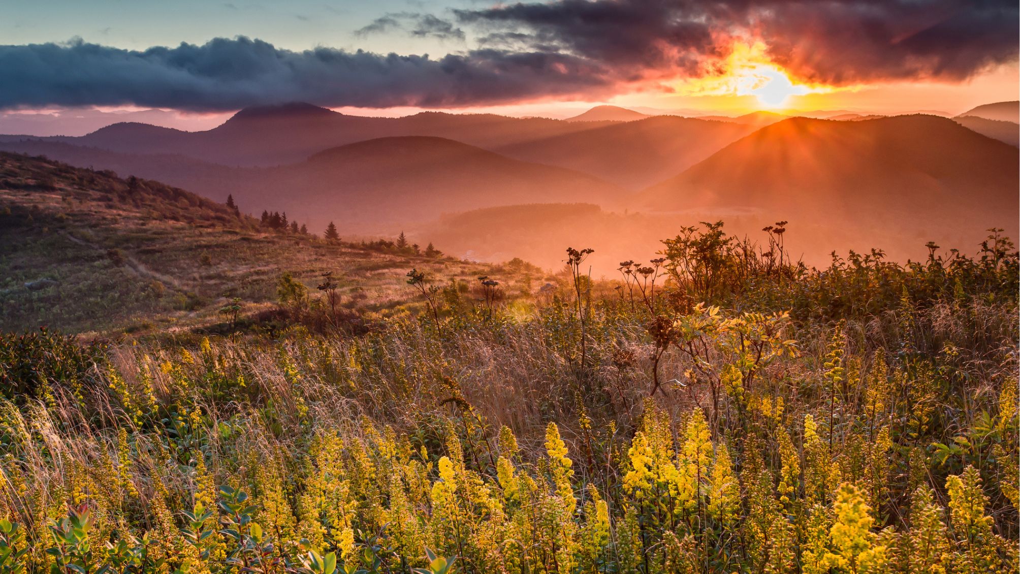 Sunset over Sam Knob in the Shining Rock Wilderness. 