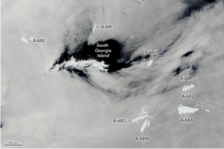 Eleven fragments of the once-mighty iceberg A-68a swirl around South Georgia island, north of Antarctica