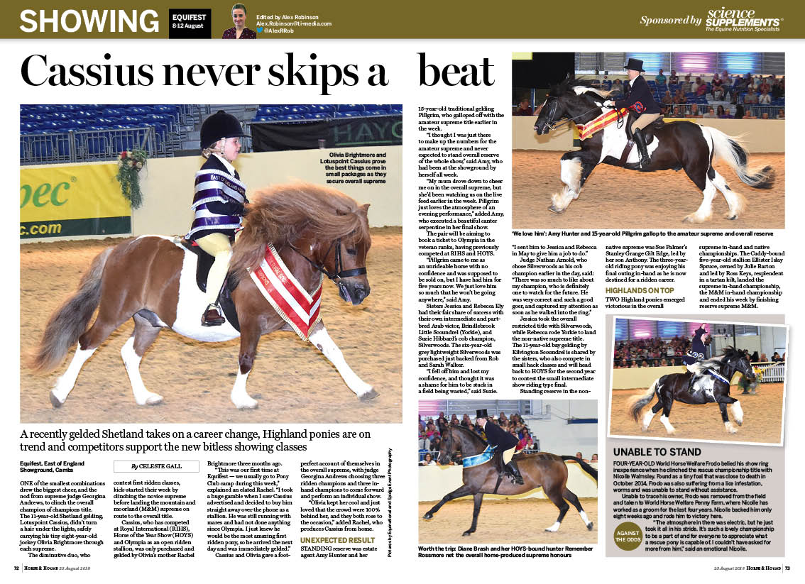 SHW-4.5PP-Equifest-stripped.jpg