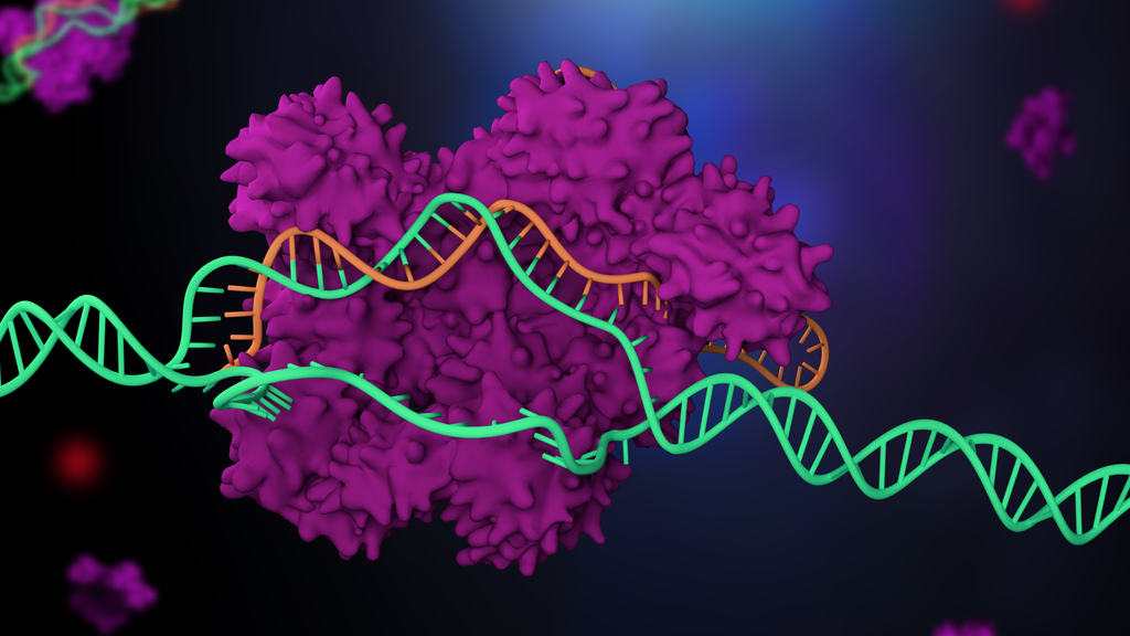 illustration of crispr-cas9 snipping a bit of DNA from a strand