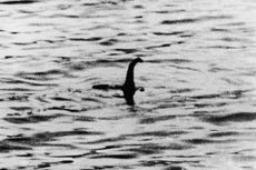 Loch Ness unusual sightings