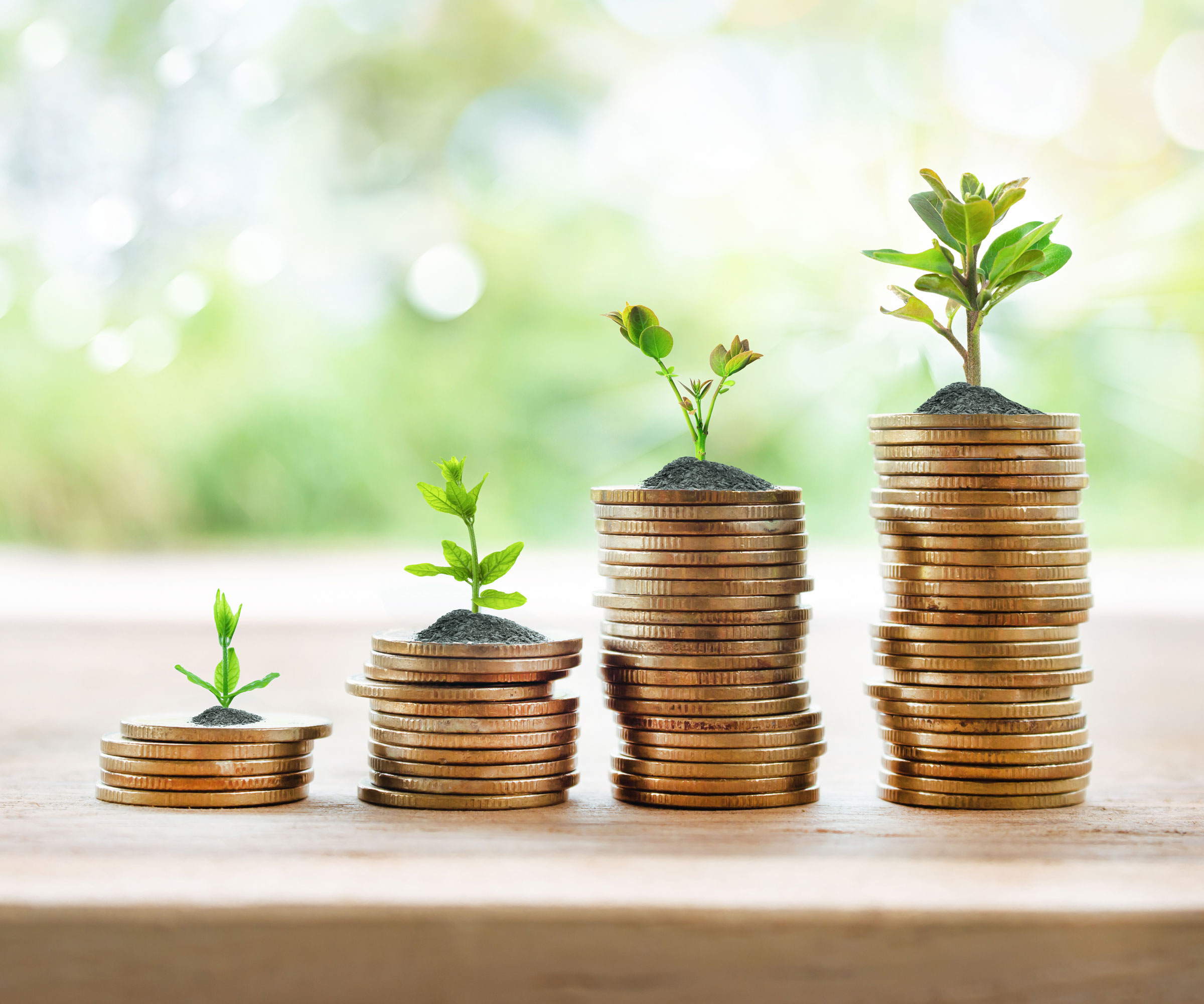 plants arranged with stacks of coins near window