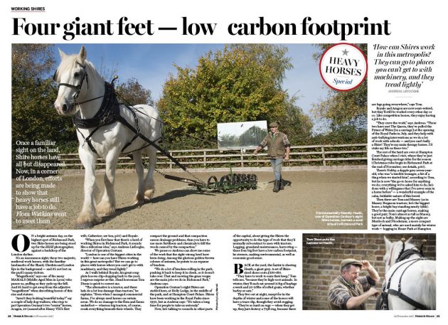 FT-3pp-Shires-in-Richmond-Park-e1511888035520.jpg