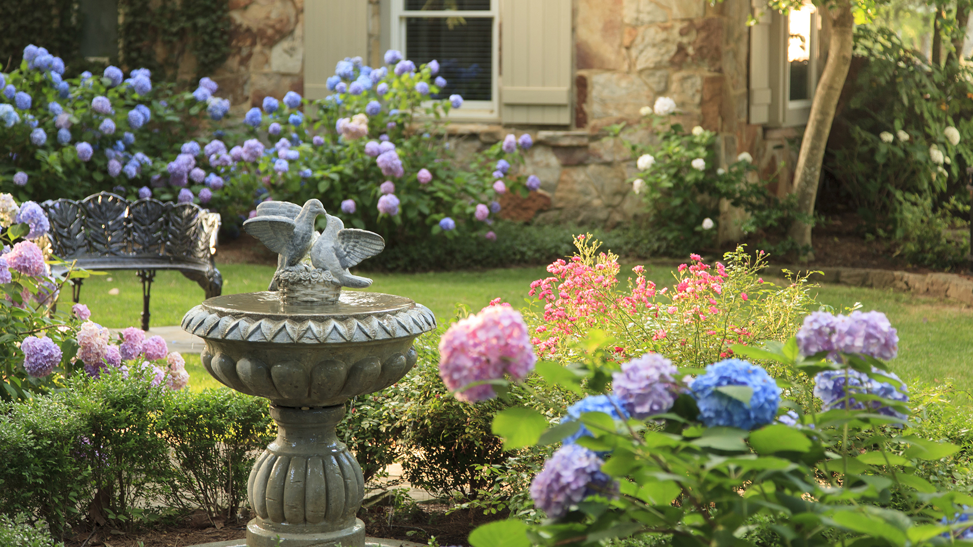 DIY Hanging Birdbath - Birds and Blooms