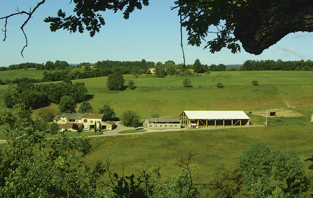 near-forcalquier