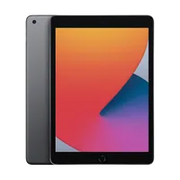 Apple iPad