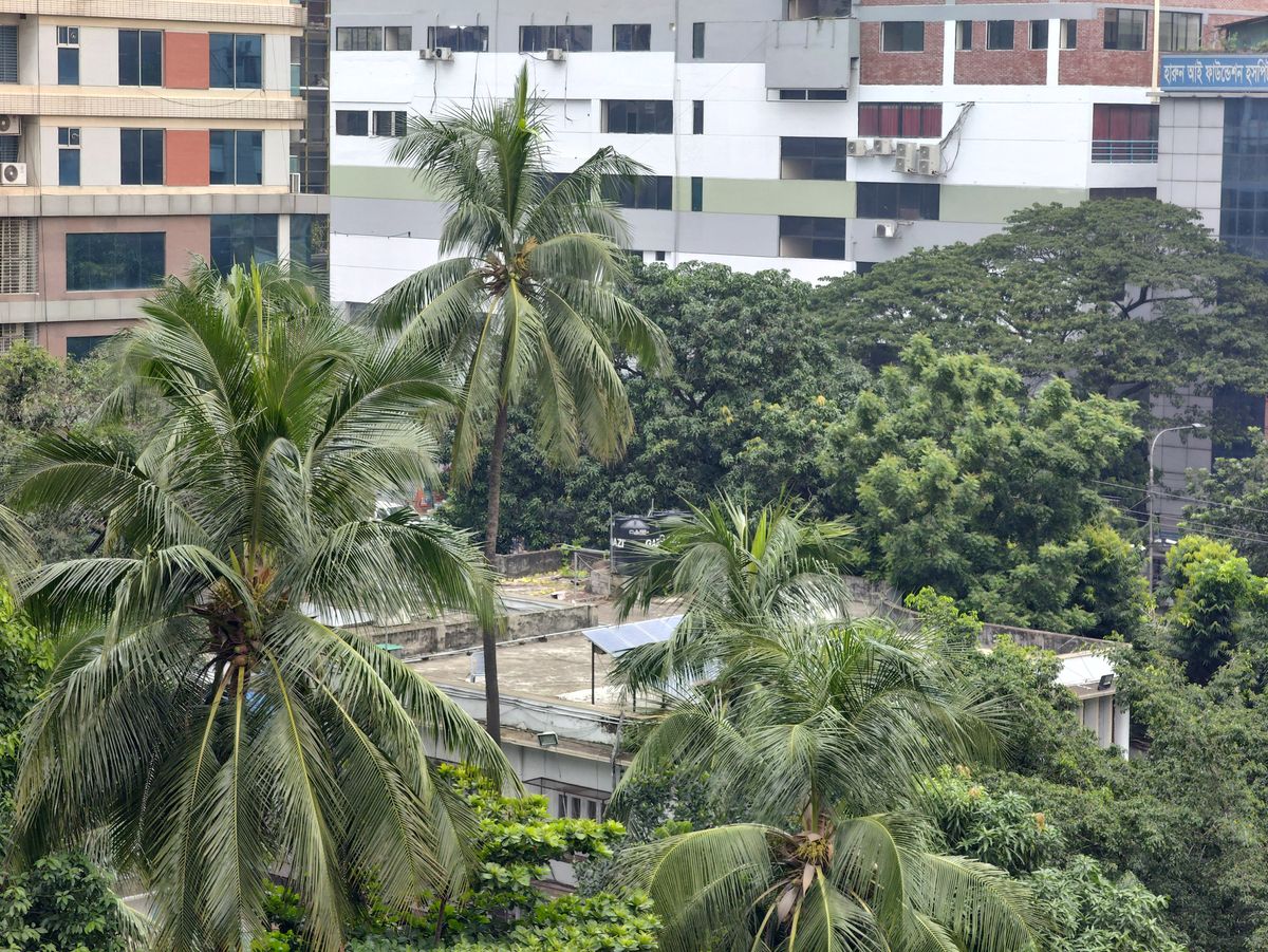 ZTE Axon 40 Ultra telephoto camera sample