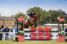 BLENHIEM_19PN_135599.jpg