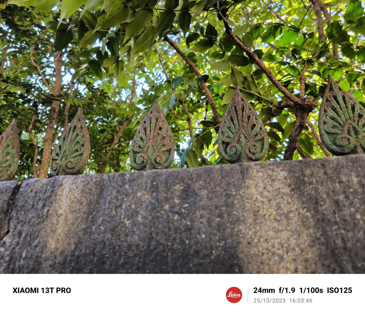 A photo taken on the Xiaomi 13T Pro
