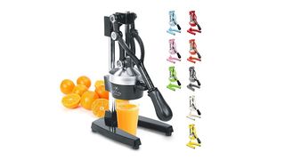 manual juicer