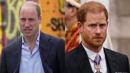 Prince William ‘struck at the heart’ by incident. Seen here is Prince William side-by-side with Prince Harry at different occasions