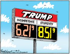Political Cartoon