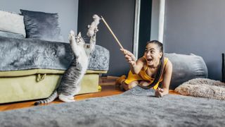 lady playing with her cat